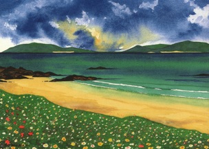 Machair Flowers